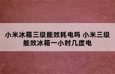 小米冰箱三级能效耗电吗 小米三级能效冰箱一小时几度电